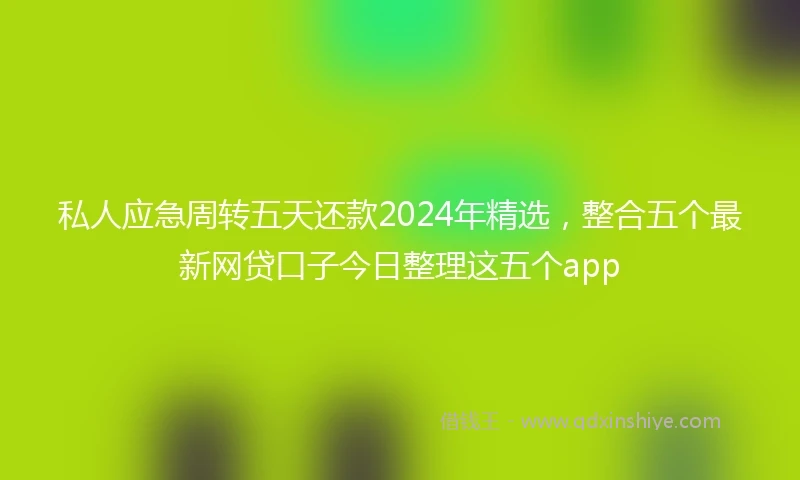 私人应急周转五天还款2024年精选，整合五个最新网贷口子今日整理这五个app