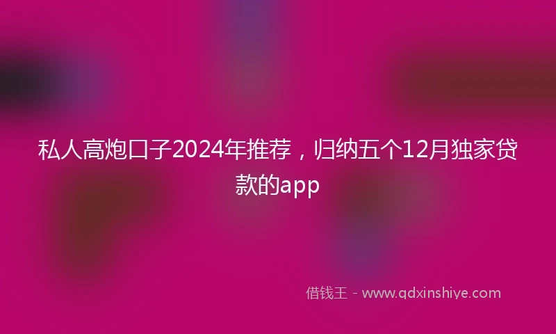 私人高炮口子2024年推荐，归纳五个12月独家贷款的app