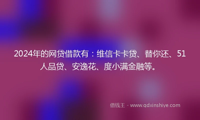 2024年的网贷借款有：维信卡卡贷、替你还、51人品贷、安逸花、度小满金融等。