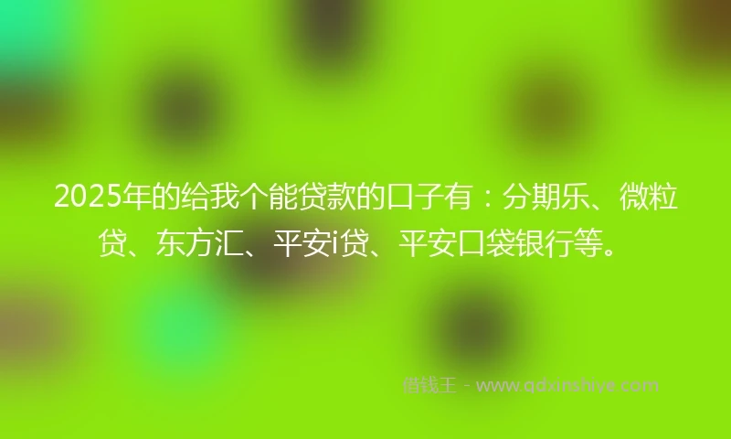 2025年的给我个能贷款的口子有：分期乐、微粒贷、东方汇、平安i贷、平安口袋银行等。