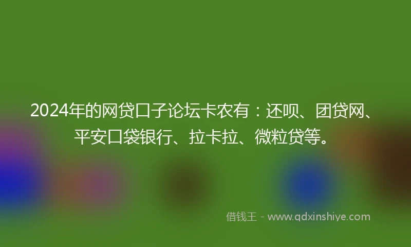 2024年的网贷口子论坛卡农有：还呗、团贷网、平安口袋银行、拉卡拉、微粒贷等。