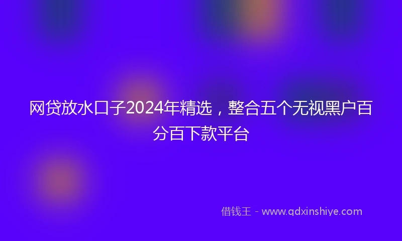 网贷放水口子2024年精选，整合五个无视黑户百分百下款平台