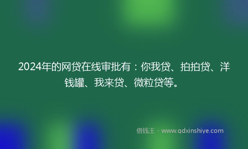 2024年的网贷在线审批有：你我贷、拍拍贷、洋钱罐、我来贷、微粒贷等。