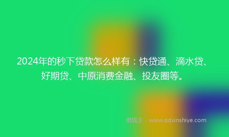 2024年的秒下贷款怎么样有：快贷通、滴水贷、好期贷、中原消费金融、投友圈等。