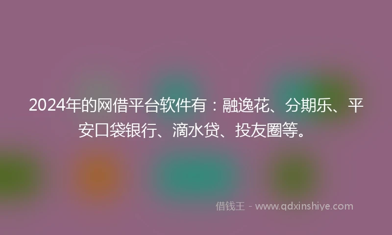 2024年的网借平台软件有：融逸花、分期乐、平安口袋银行、滴水贷、投友圈等。