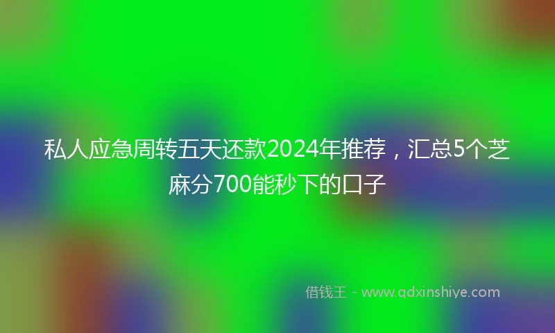 私人应急周转五天还款2024年推荐，汇总5个芝麻分700能秒下的口子
