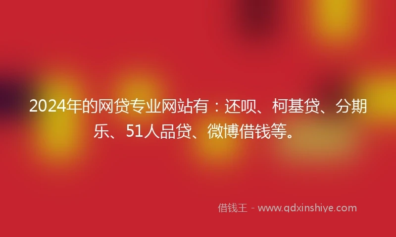 2024年的网贷专业网站有：还呗、柯基贷、分期乐、51人品贷、微博借钱等。