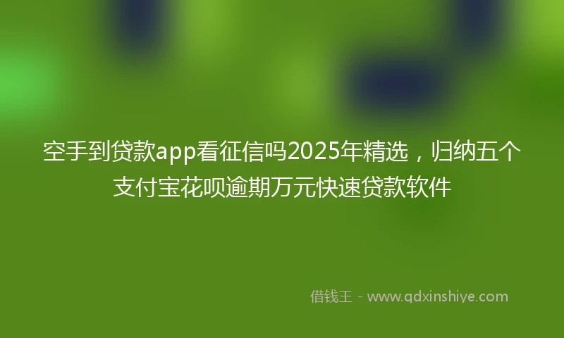 空手到贷款app看征信吗2025年精选，归纳五个支付宝花呗逾期万元快速贷款软件