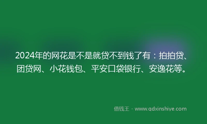 2024年的网花是不是就贷不到钱了有：拍拍贷、团贷网、小花钱包、平安口袋银行、安逸花等。