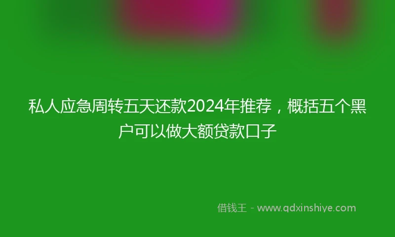 私人应急周转五天还款2024年推荐，概括五个黑户可以做大额贷款口子