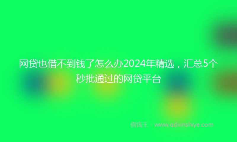 网贷也借不到钱了怎么办2024年精选，汇总5个秒批通过的网贷平台