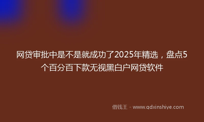 网贷审批中是不是就成功了2025年精选，盘点5个百分百下款无视黑白户网贷软件