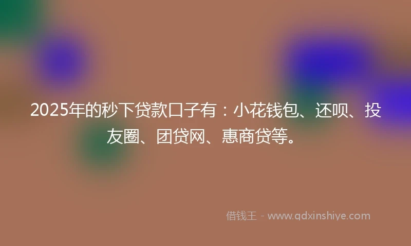 2025年的秒下贷款口子有:小花钱包、还呗、投友圈、团贷网、惠商贷等。