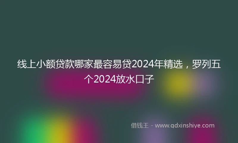 线上小额贷款哪家最容易贷2024年精选，罗列五个2024放水口子