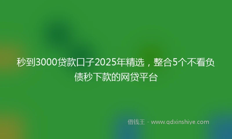 秒到3000贷款口子2025年精选，整合5个不看负债秒下款的网贷平台