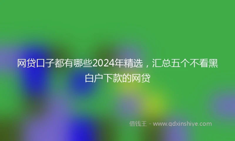 网贷口子都有哪些2024年精选，汇总五个不看黑白户下款的网贷
