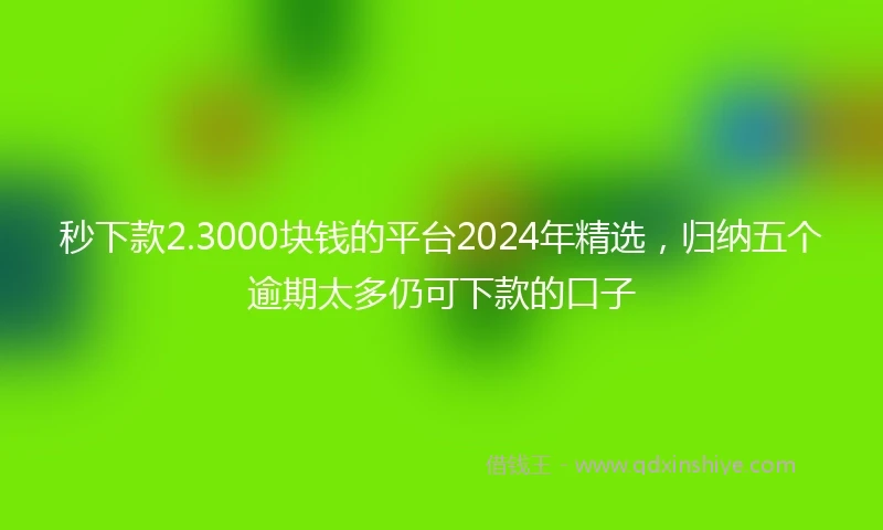 秒下款2.3000块钱的平台2024年精选，归纳五个逾期太多仍可下款的口子