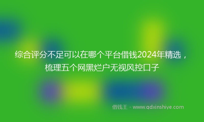 综合评分不足可以在哪个平台借钱2024年精选，梳理五个网黑烂户无视风控口子