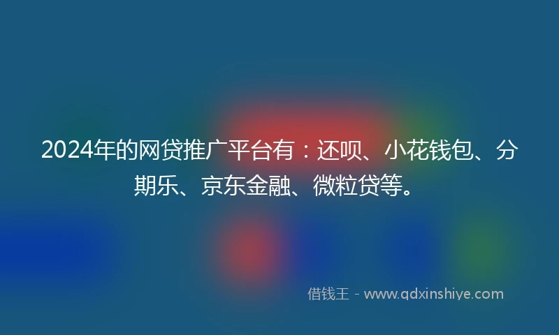 2024年的网贷推广平台有：还呗、小花钱包、分期乐、京东金融、微粒贷等。