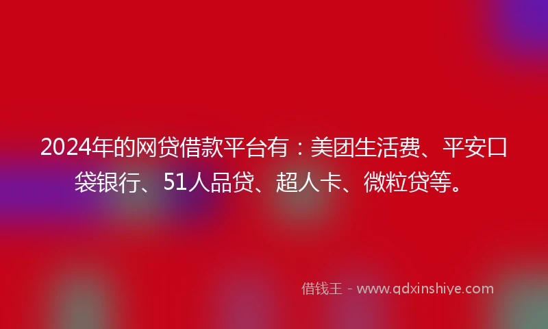 2024年的网贷借款平台有:美团生活费、平安口袋银行、51人品贷、超人卡、微粒贷等。