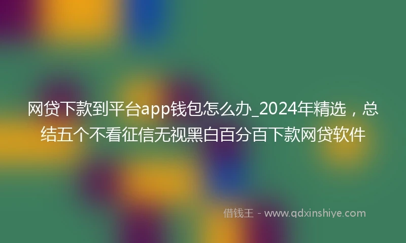 网贷下款到平台app钱包怎么办_2024年精选，总结五个不看征信无视黑白百分百下款网贷软件