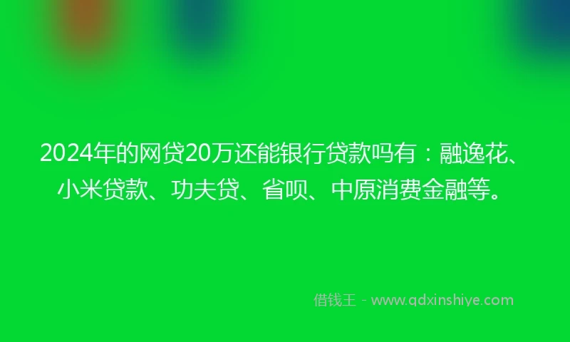 2024年的网贷20万还能银行贷款吗有：融逸花、小米贷款、功夫贷、省呗、中原消费金融等。