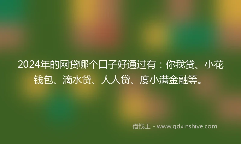 2024年的网贷哪个口子好通过有：你我贷、小花钱包、滴水贷、人人贷、度小满金融等。