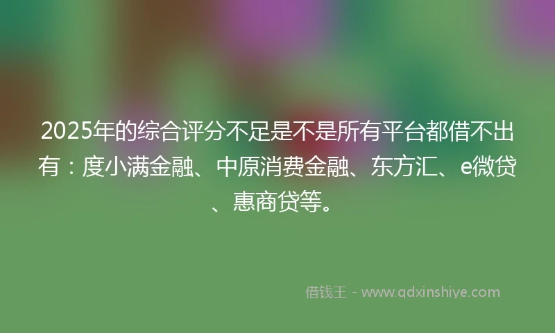 2025年的综合评分不足是不是所有平台都借不出有：度小满金融、中原消费金融、东方汇、e微贷、惠商贷等。
