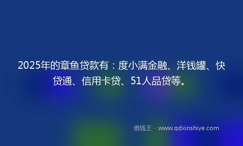 2025年的章鱼贷款有：度小满金融、洋钱罐、快贷通、信用卡贷、51人品贷等。