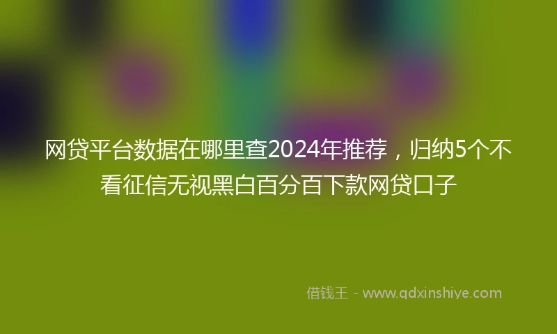 网贷平台数据在哪里查2024年推荐,归纳5个不看征信无视黑白百分百下款网贷口子