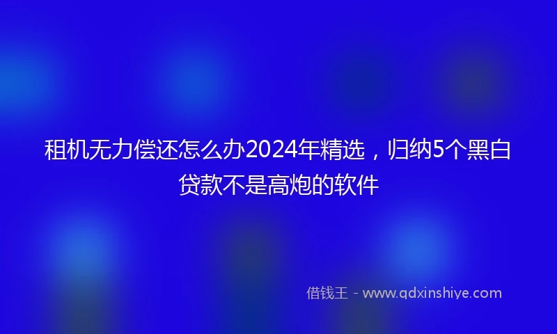 租机无力偿还怎么办2024年精选，归纳5个黑白贷款不是高炮的软件