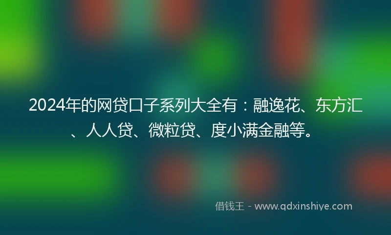 2024年的网贷口子系列大全有：融逸花、东方汇、人人贷、微粒贷、度小满金融等。