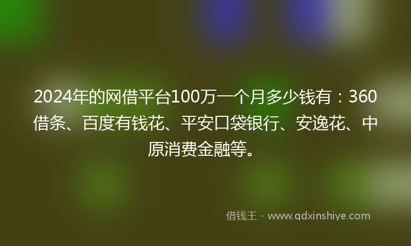 2024年的网借平台100万一个月多少钱有：360借条、百度有钱花、平安口袋银行、安逸花、中原消费金融等。