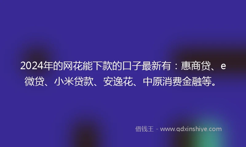 2024年的网花能下款的口子最新有：惠商贷、e微贷、小米贷款、安逸花、中原消费金融等。