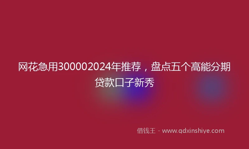 网花急用300002024年推荐，盘点五个高能分期贷款口子新秀