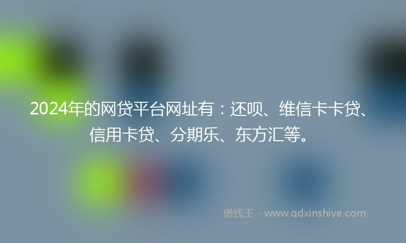 2024年的网贷平台网址有：还呗、维信卡卡贷、信用卡贷、分期乐、东方汇等。