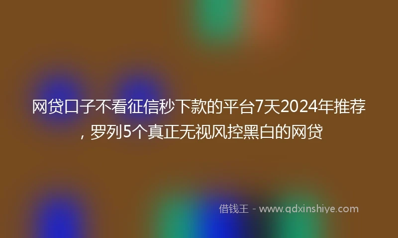 网贷口子不看征信秒下款的平台7天2024年推荐，罗列5个真正无视风控黑白的网贷
