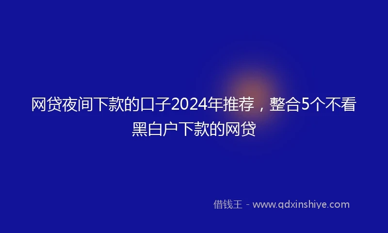 网贷夜间下款的口子2024年推荐，整合5个不看黑白户下款的网贷