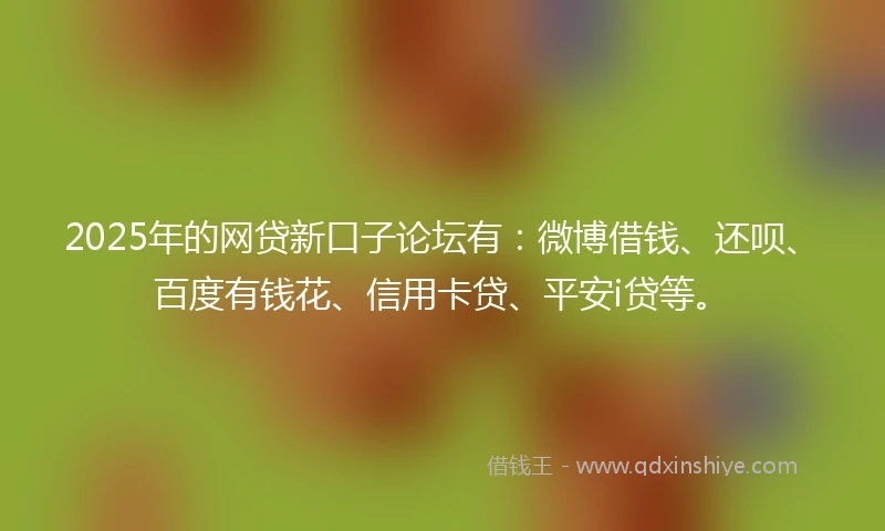 2025年的网贷新口子论坛有：微博借钱、还呗、百度有钱花、信用卡贷、平安i贷等。