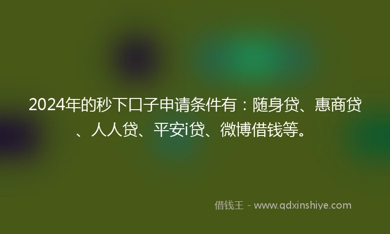 2024年的秒下口子申请条件有：随身贷、惠商贷、人人贷、平安i贷、微博借钱等。