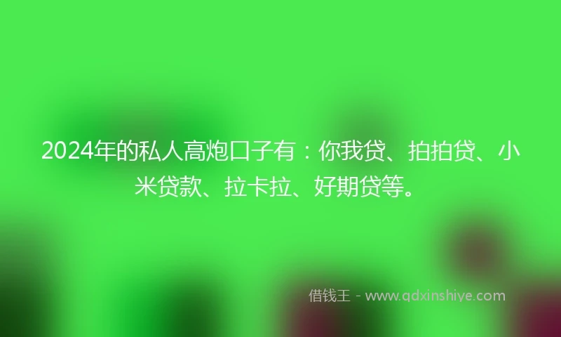 2024年的私人高炮口子有：你我贷、拍拍贷、小米贷款、拉卡拉、好期贷等。