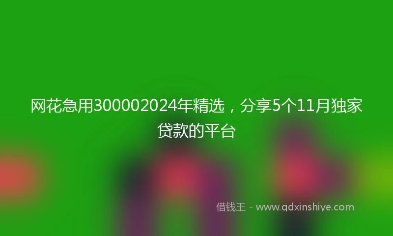 网花急用300002024年精选，分享5个11月独家贷款的平台