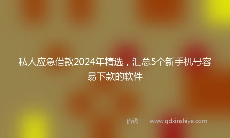 私人应急借款2024年精选，汇总5个新手机号容易下款的软件