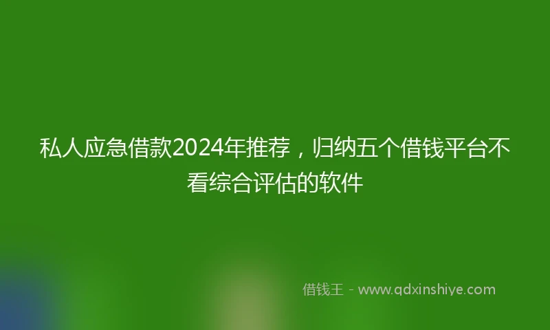 私人应急借款2024年推荐，归纳五个借钱平台不看综合评估的软件
