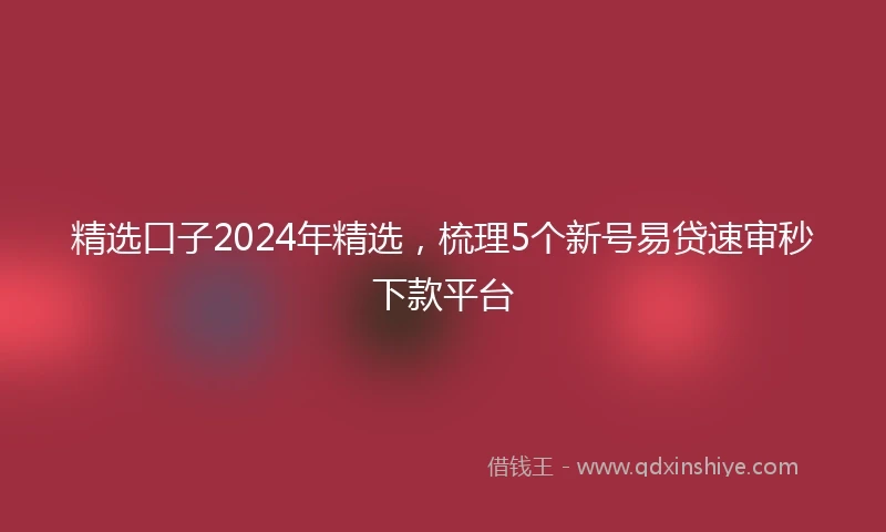 精选口子2024年精选，梳理5个新号易贷速审秒下款平台