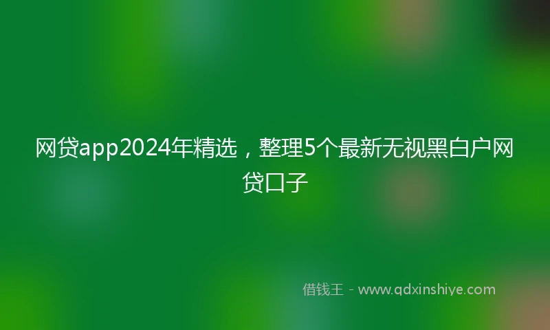网贷app2024年精选，整理5个最新无视黑白户网贷口子