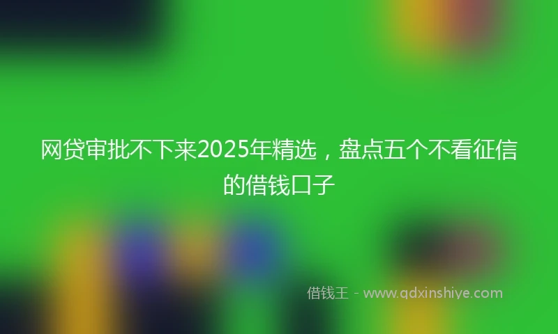网贷审批不下来2025年精选，盘点五个不看征信的借钱口子