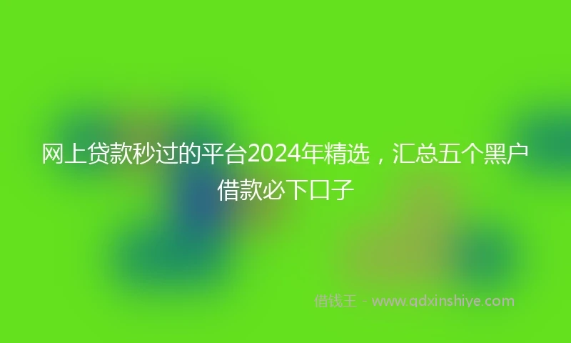 网上贷款秒过的平台2024年精选，汇总五个黑户借款必下口子