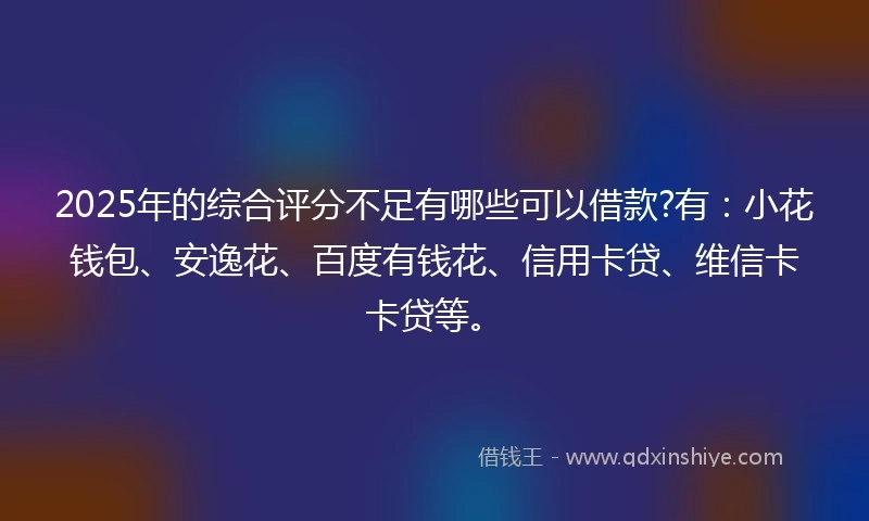 2025年的综合评分不足有哪些可以借款?有：小花钱包、安逸花、百度有钱花、信用卡贷、维信卡卡贷等。