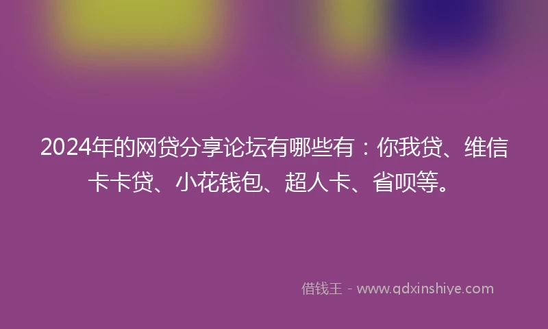 2024年的网贷分享论坛有哪些有：你我贷、维信卡卡贷、小花钱包、超人卡、省呗等。